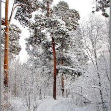 Схема вышивки «Зимний лес»
