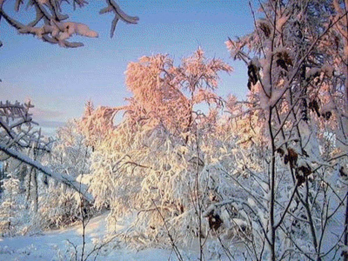 Зимнее очарование - зима, природа, лес, снег - предпросмотр