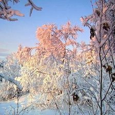 Зимнее очарование