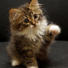 Схема вышивки «Давай дружить»