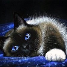 Схема вышивки «№2009542»