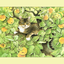 Схема вышивки «Кот в яблоках)»