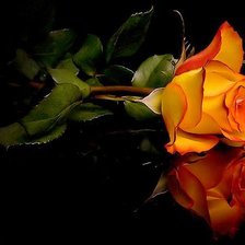 Схема вышивки «Отражение»