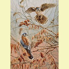 Схема вышивки «Птицы.»