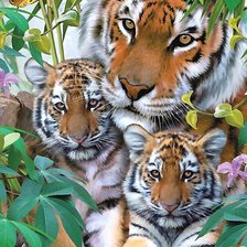 Схема вышивки «тигры»