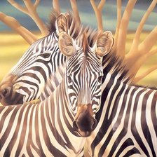 Схема вышивки «зебры»