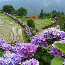 Схема вышивки «пейзаж»