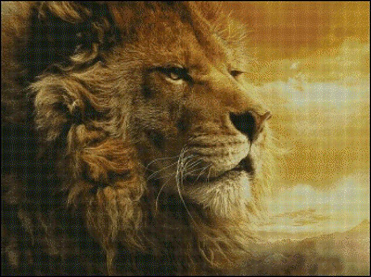 король лев - предпросмотр