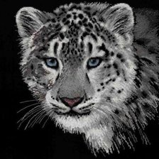 Схема вышивки «Барс»