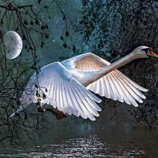 Схема вышивки «ЛЕБЕДЬ»