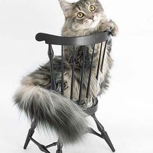 Схема вышивки «Киса»