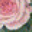 Предпросмотр схемы вышивки «розы» (№2010657)