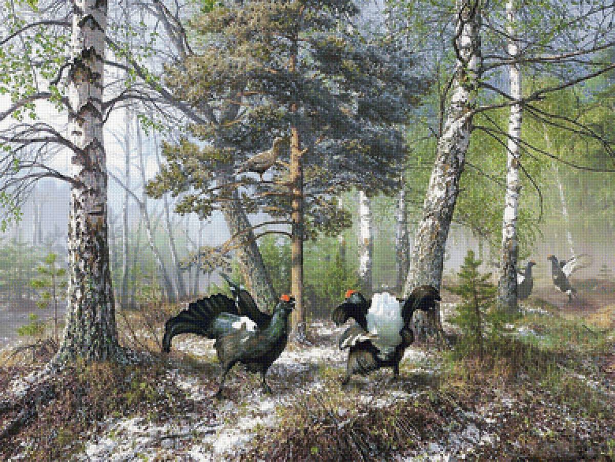 Глухари в лесу. - птицы, пейзаж, глухари, лес, живопись - предпросмотр