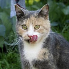 Схема вышивки «Было вкусно»