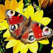 Схема вышивки «Украшение сентября»