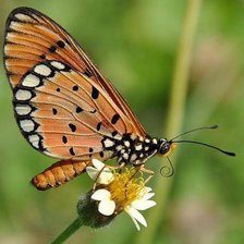 Остановись мгновение