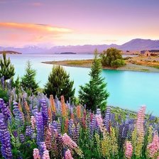 Схема вышивки «№2010796»