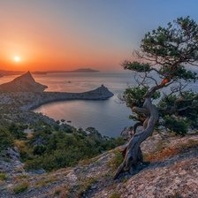 Схема вышивки «Природа»