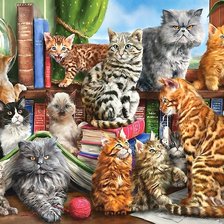 Схема вышивки «в библиотеке»