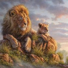 Схема вышивки «дикие»