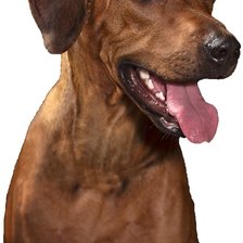 Схема вышивки «Фрея 5»