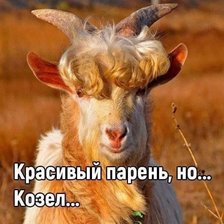 Схема вышивки «животные»