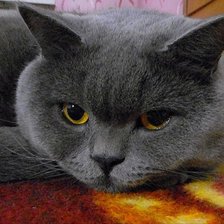 Схема вышивки «грустинка»