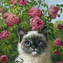 Схема вышивки «котенок в цветах»