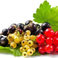 Схема вышивки «Fruit still life»