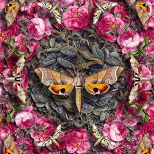 Схема вышивки «Бабочки»