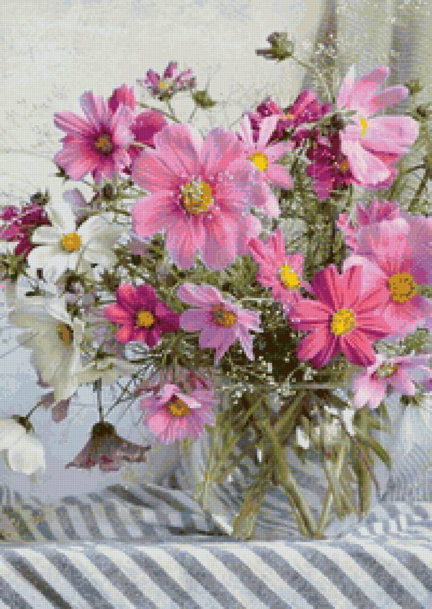 Космея - предпросмотр