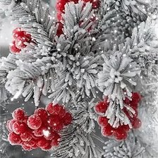 зимняя сказка