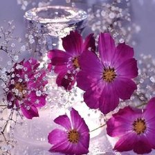 Схема вышивки «цветочная нежность»