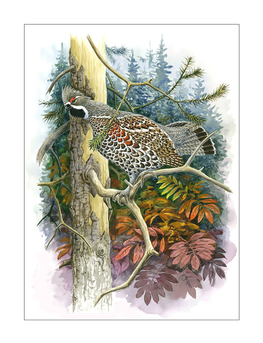 Птица. - акварель, живопись, птицы - оригинал