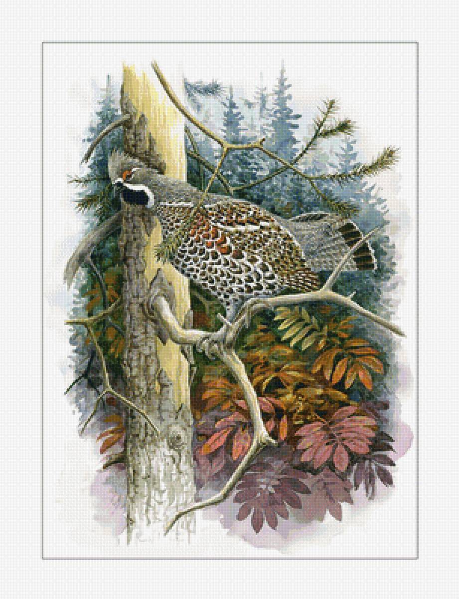 Птица. - акварель, птицы, живопись - предпросмотр