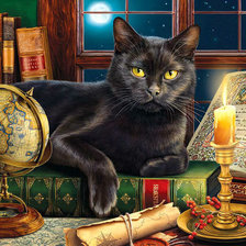 Схема вышивки «Учёный кот»