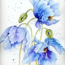 Схема вышивки «Голубые маки»