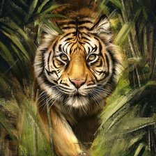 Схема вышивки «дикие»