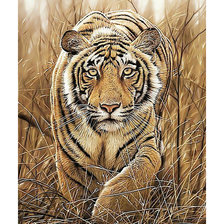 Схема вышивки «Тигр.»