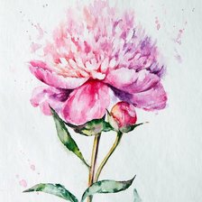 Схема вышивки «Пион»