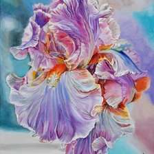 Схема вышивки «Ирис»