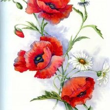 Схема вышивки «Маки»