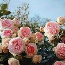 Схема вышивки «розы»