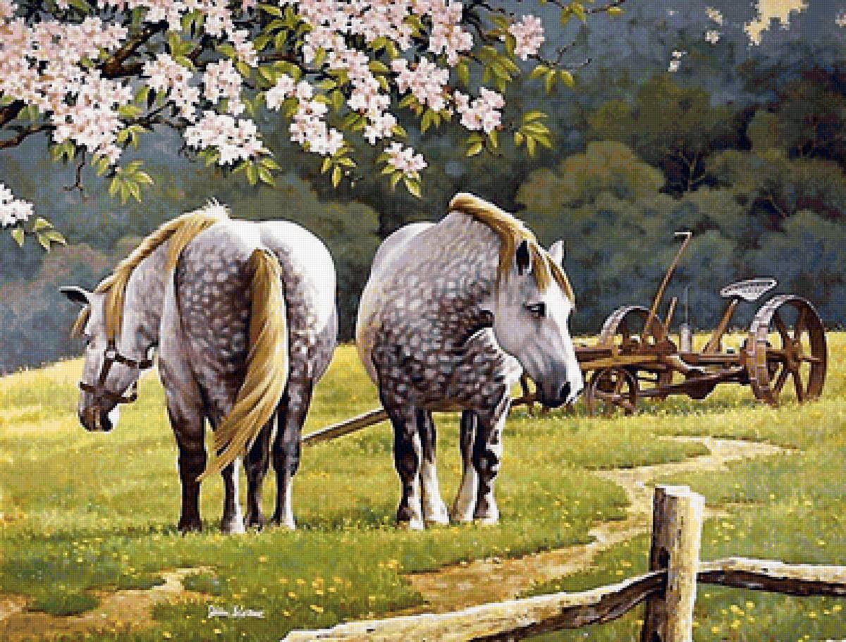 лошади - весна, лошади - предпросмотр