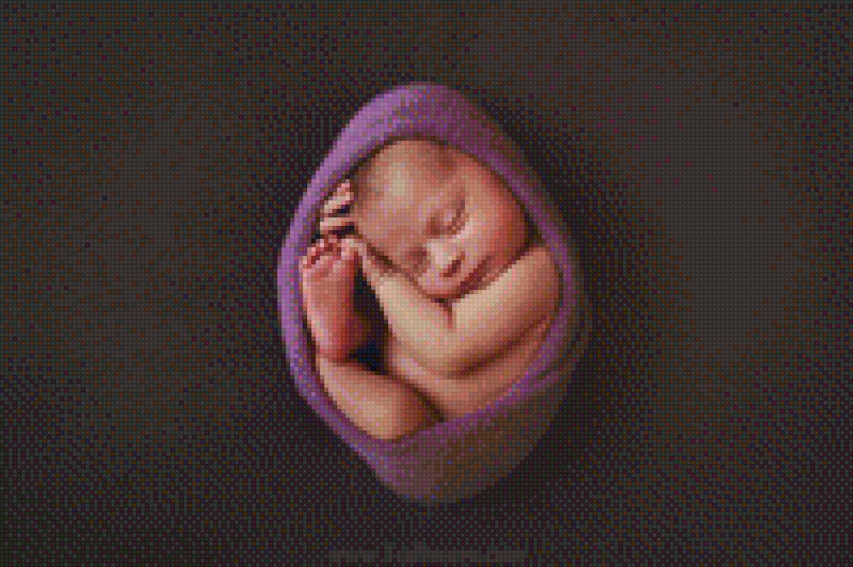 младенец - дети - предпросмотр