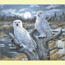 Схема вышивки «Совы.»