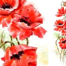 Схема вышивки «Маки»