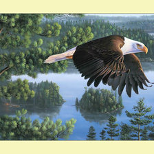 Схема вышивки «Полёт.»