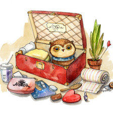 Схема вышивки «Совушка»