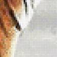 Предпросмотр схемы вышивки «тигры» (№2012935)